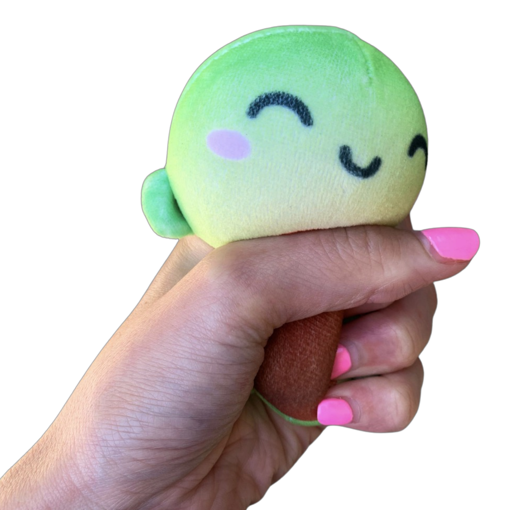 Bubble Stuffed Squishy Friends