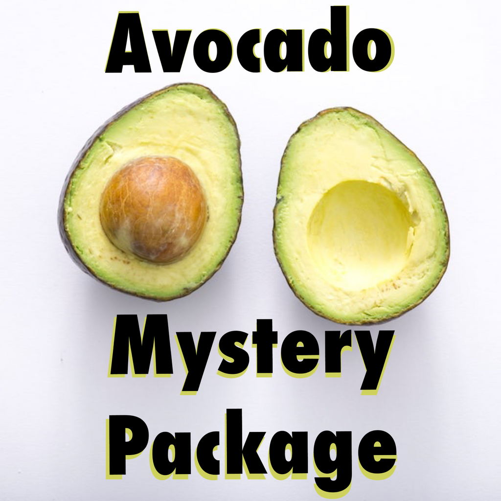 Avocado Bundle 🥑